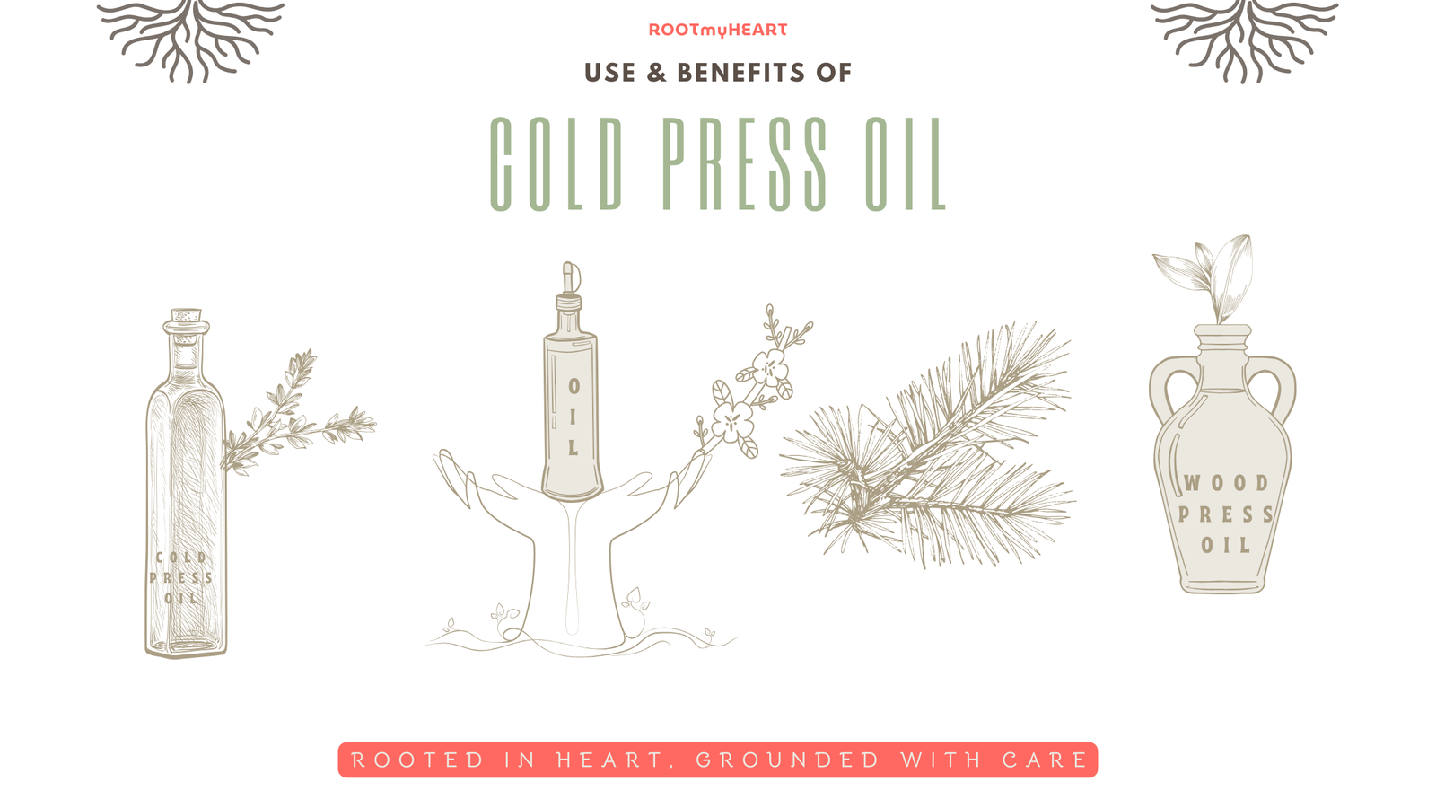 What is Cold Press Oil? Use and Benefits of Cold Press Oil.